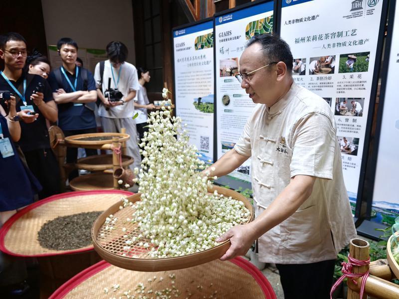 活力中国调研行｜榕城：守好闽都文脉 激活山海烟火
