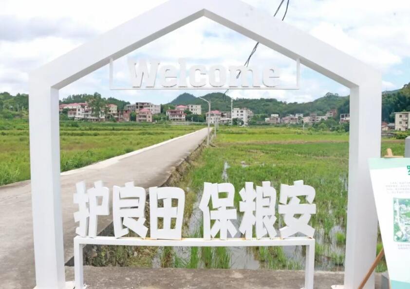 QQ截图20260819101627