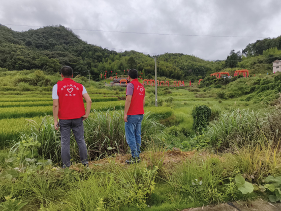 人保财险泉州市分公司：织密农业防护网 靠前服务保丰收