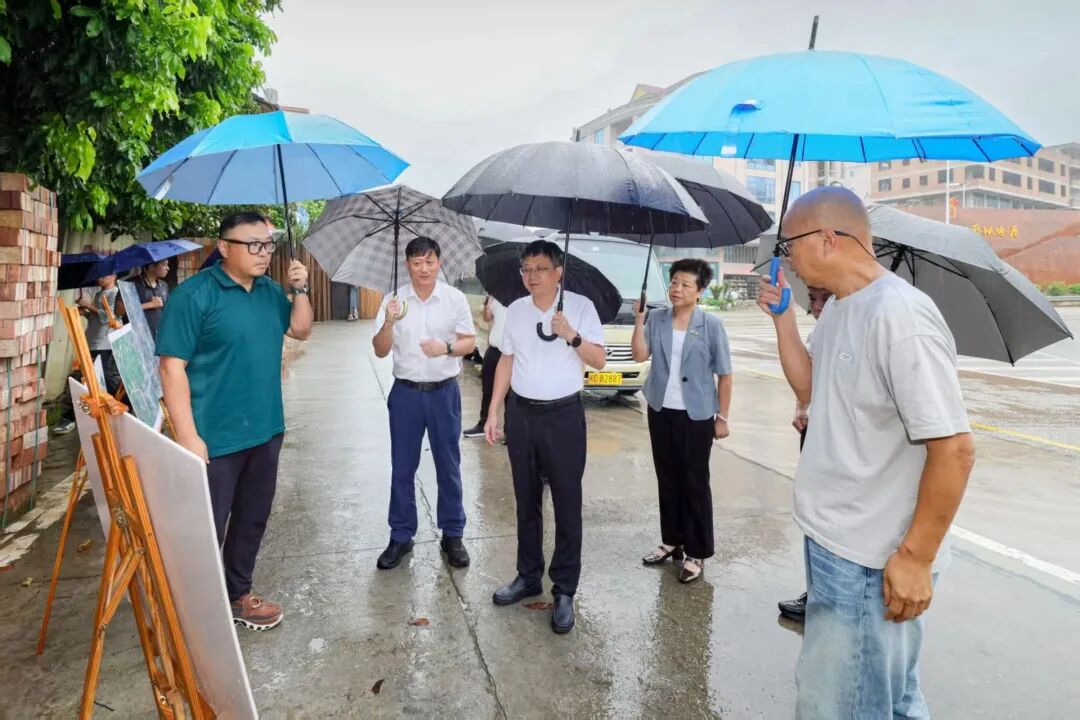 刘永强到金谷镇调研中央专项彩票公益金支持革命老区乡村振兴项目工作