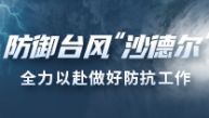 防御台风“沙德尔”，全力以赴做好防抗工作