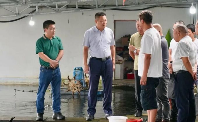 诏安县领导带队调研水产种苗产业