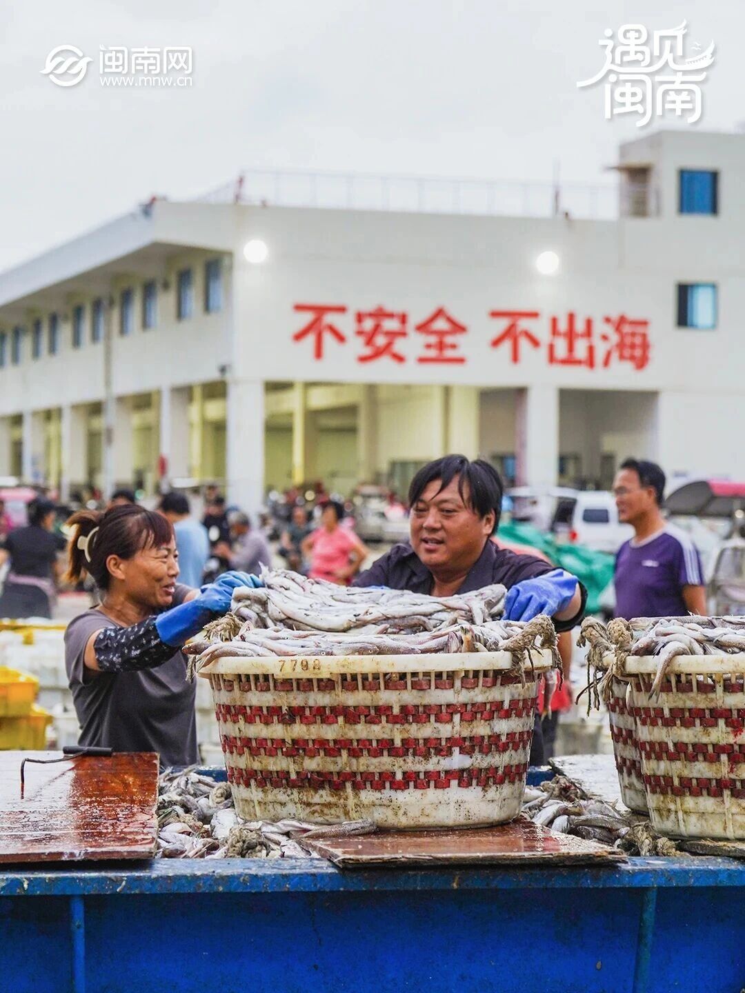 遇见闽南丨你家餐桌上的海鲜“上新”了吗？