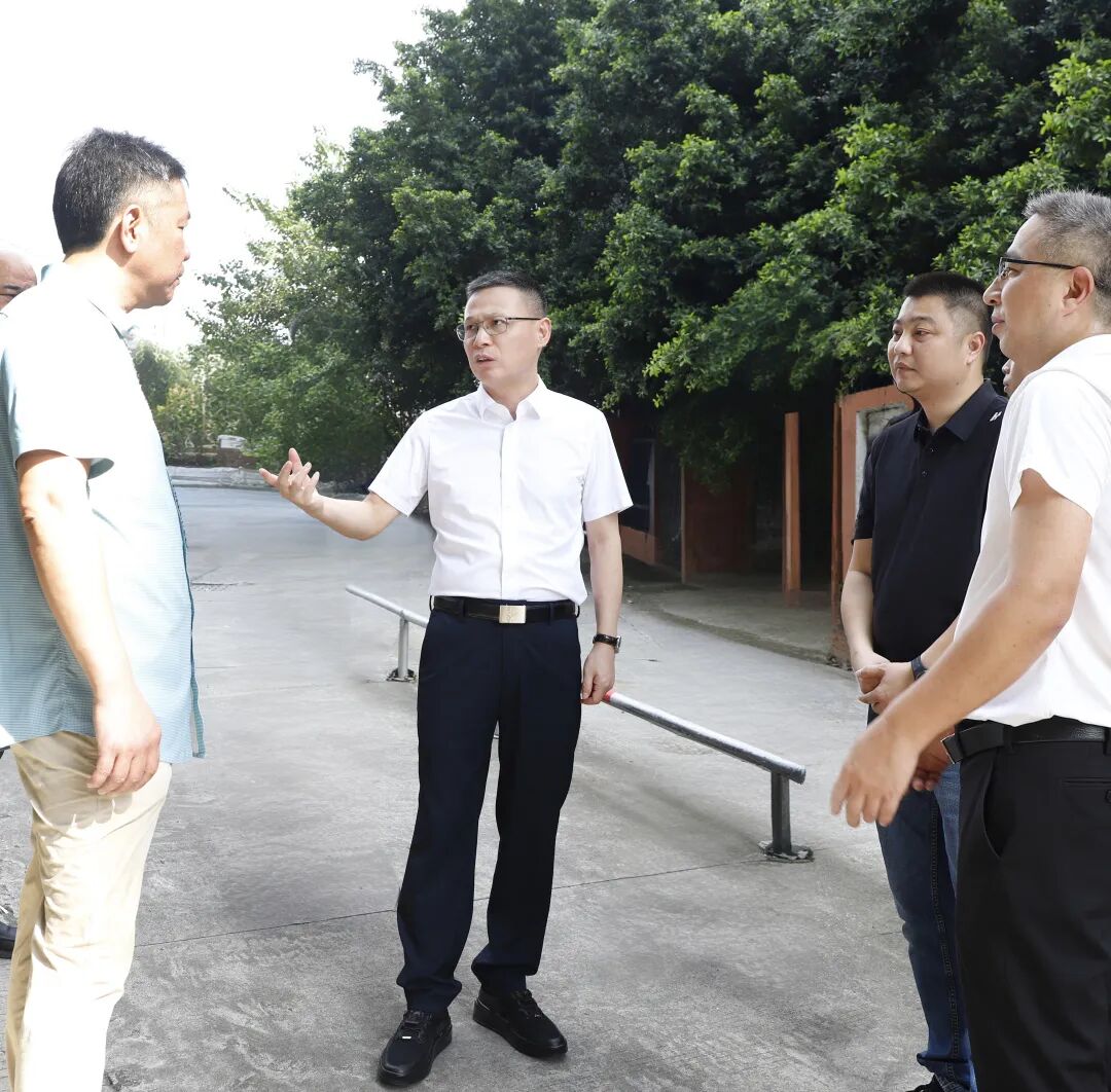 丰泽区委主要领导调研防汛防台风等工作