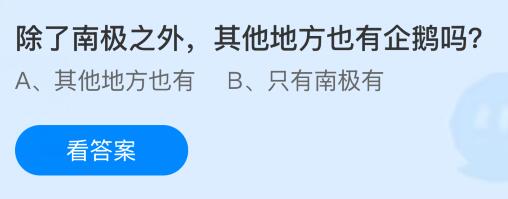 除了南极之外，其他地方也有企鹅吗？蚂蚁庄园今日答案最新9.2