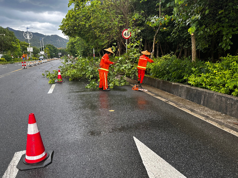 长泰：风雨中，他们守护长泰公路畅通