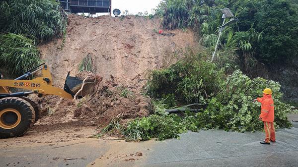 三明尤溪：受强降雨影响路树倒伏阻路 公路部门抢险保畅通