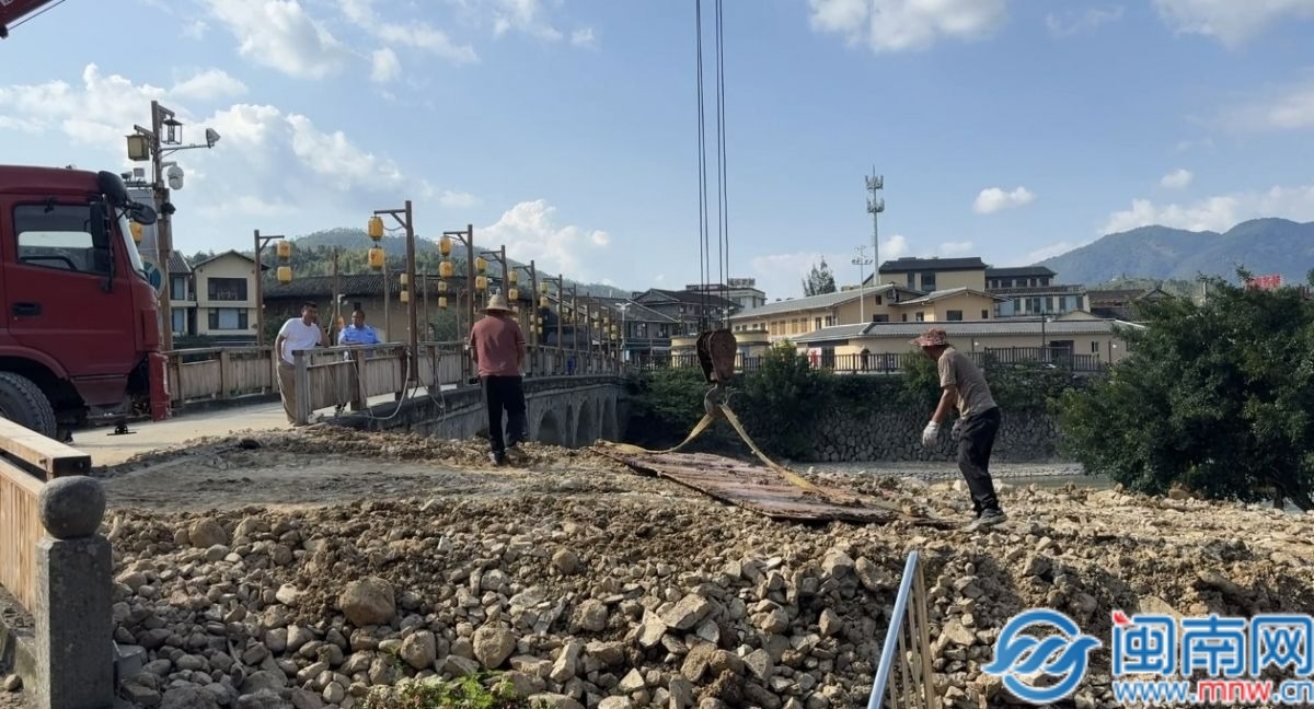 漳州南靖：与时间赛跑 专家介入全力救扶600余年古榕
