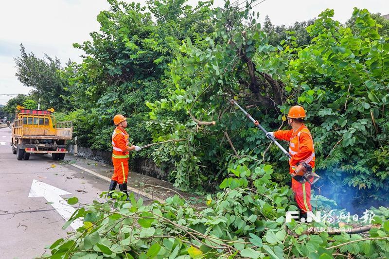 福州：风雨初歇 全力以&ldquo;复&rdquo;