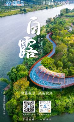 二十四节气 | 白露：白露凝水 风染秋序