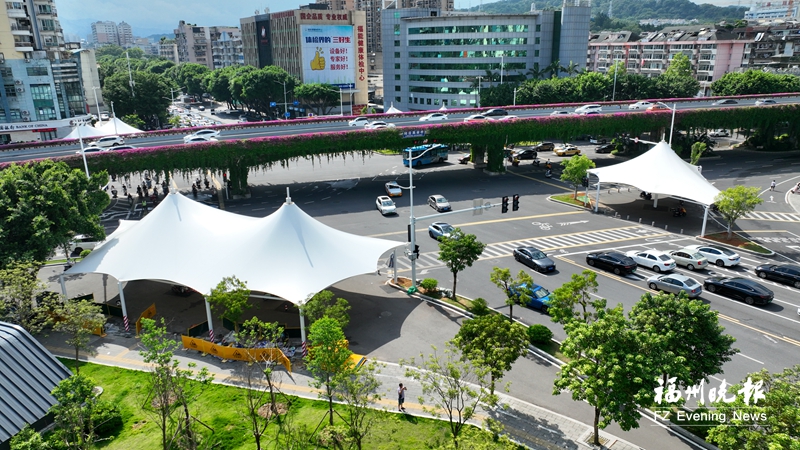 福州城区5处路口遮阳棚完工 白色巨伞遮风挡雨又遮阳