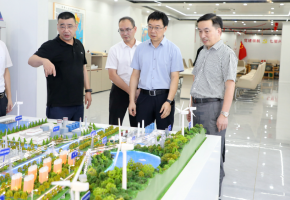 鲤城区政府主要领导调研重点企业