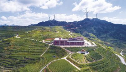 占全国市场份额7% 泉州安溪虎邱茶企抱团转型新茶饮供应链