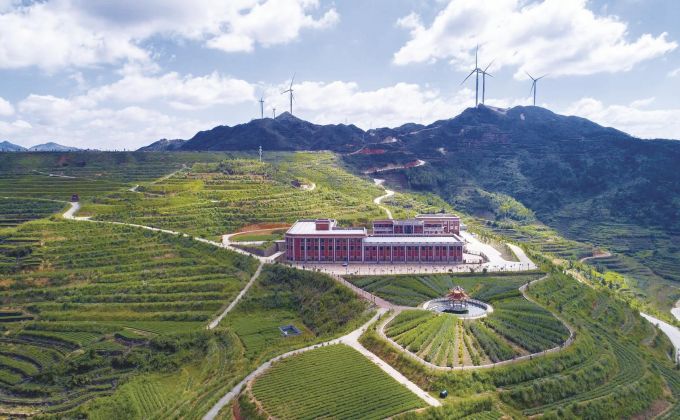 占全国市场份额7% 泉州安溪虎邱茶企抱团转型新茶饮供应链