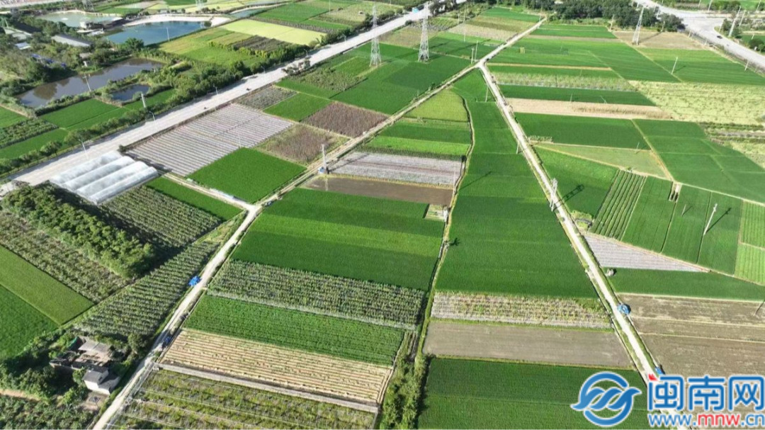 长泰区：高标准农田建设巧解民生“两难”