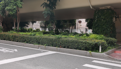 桥下“闲置地”变身护学停车场 泉州巧解校园接送堵点