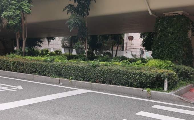 桥下“闲置地”变身护学停车场 泉州巧解校园接送堵点