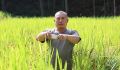 三明泰宁：一田双收 鱼稻生金