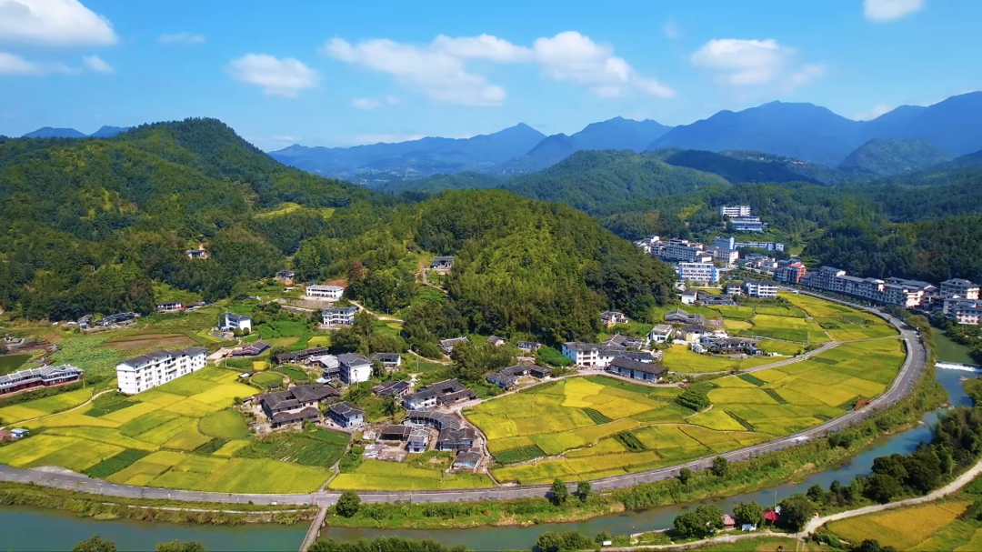 稻浪铺金！泉州德化绘就丰收农文旅画卷