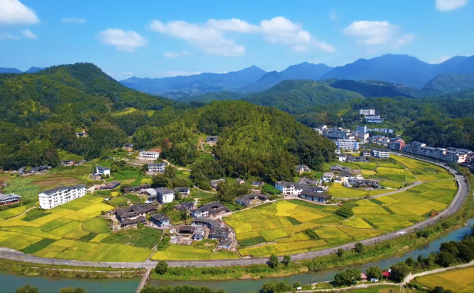 稻浪铺金！泉州德化绘就丰收农文旅画卷