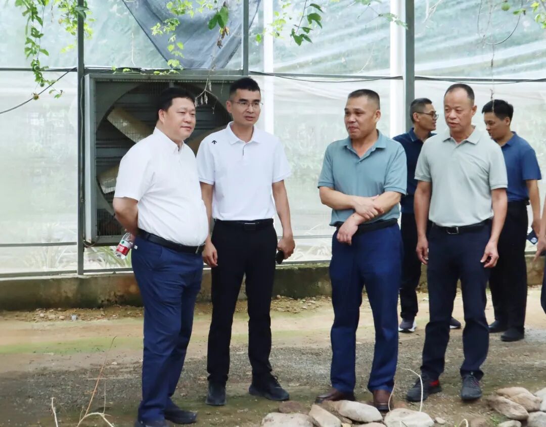 洛江区人大常委会开展闽台农业融合发展专题调研