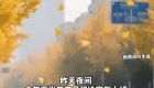 冷空气要来！泉州降温时间定了