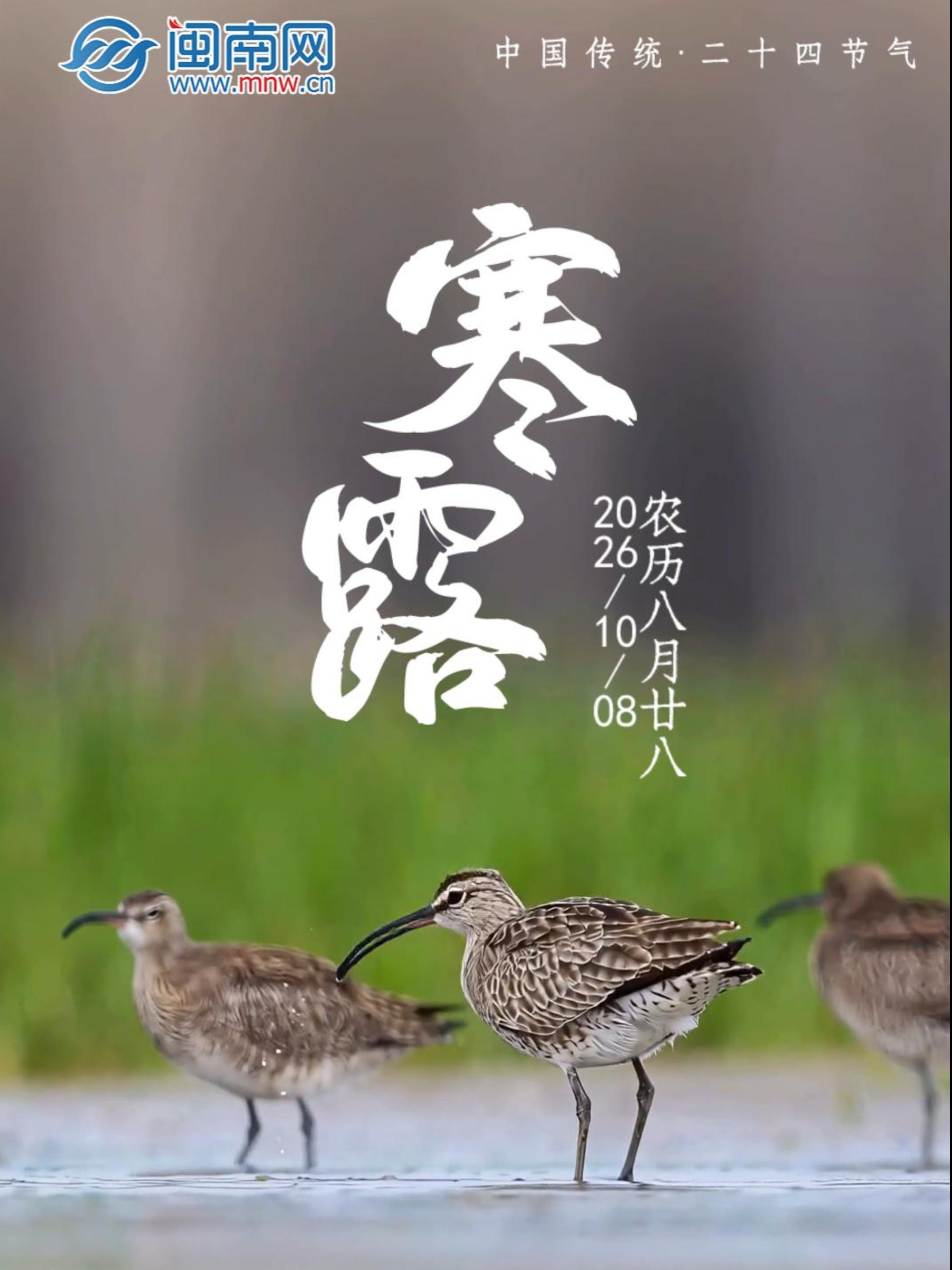 遇见闽南 节气之美丨寒露