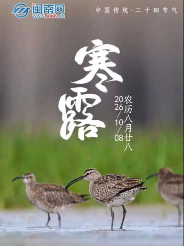 遇见闽南 节气之美丨寒露