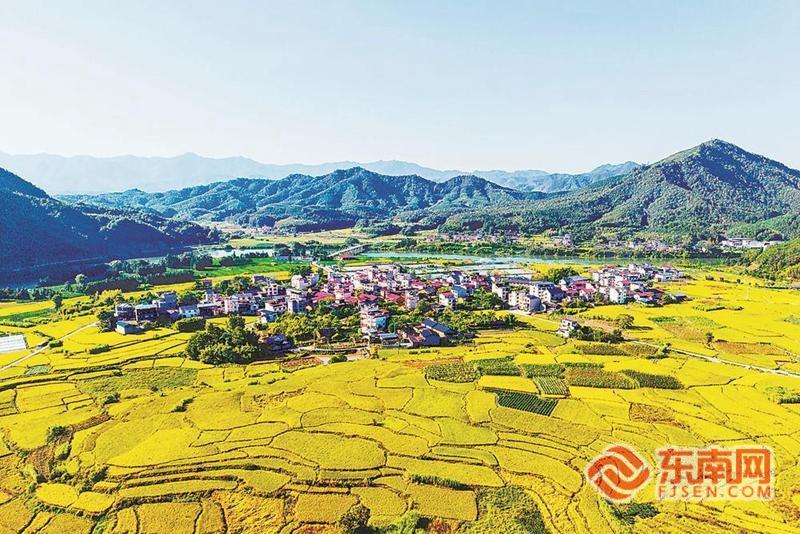 福建松溪：丰收气息扑面而来