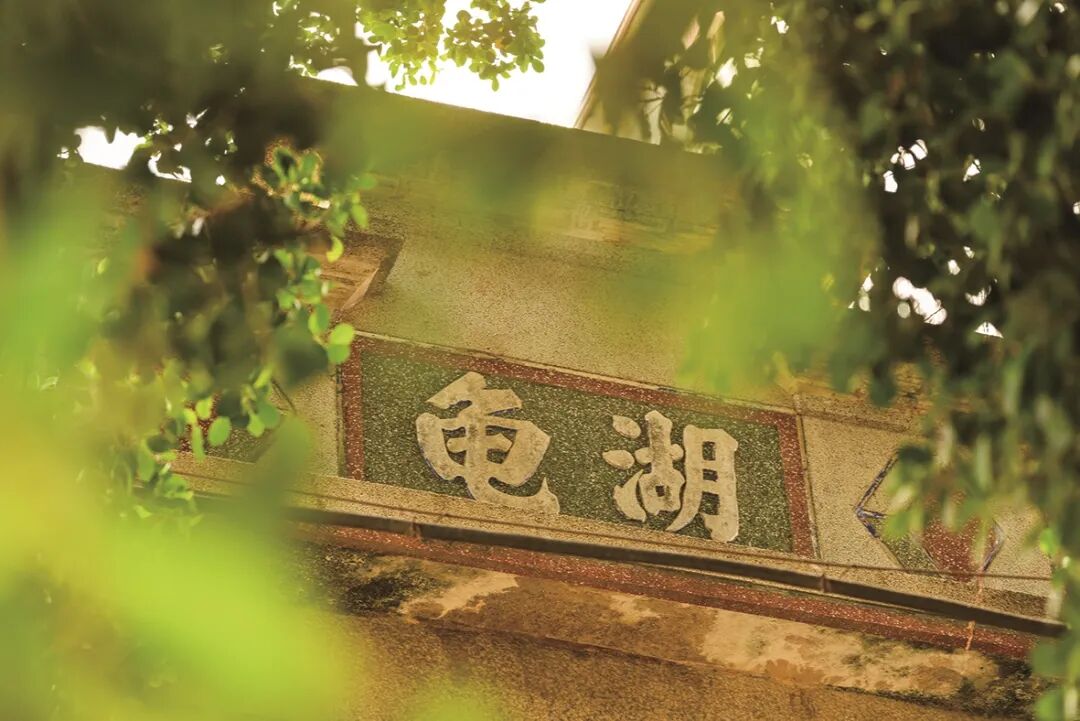 凝固在建筑上的石狮流年