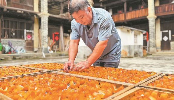 龙岩市永定区大溪乡：村民在土楼场地内晾晒柿饼
