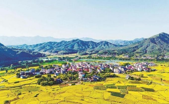 福建松溪：丰收气息扑面而来
