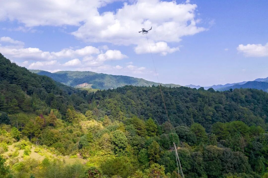 泉州德化山林飞出“空中搬运工”