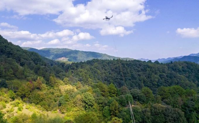泉州德化山林飞出“空中搬运工”