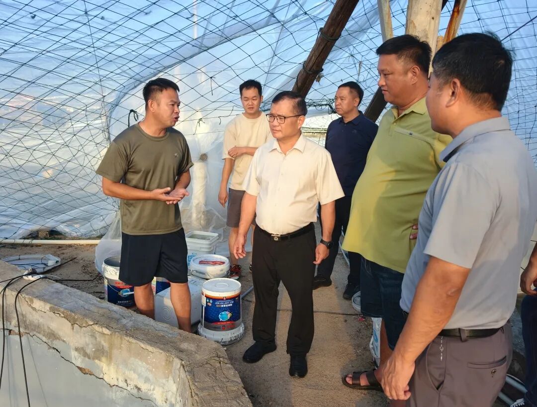 提水式海水养殖尾水治理，漳浦在行动（二十五）