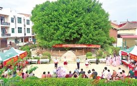 情暖重阳 文明惠民