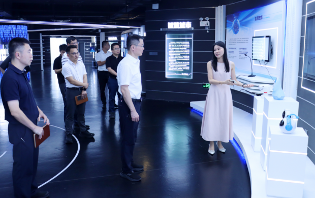 洛江区委书记唐春晓带队调研企业发展工作