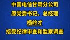 中国电信甘肃分公司原党委书记、总经理杨岭才接受纪律审查和监察调查