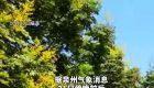 冷空气即将抵达！泉州将有大风！超强台风“蔷琵”21日下午起将影响福建海域