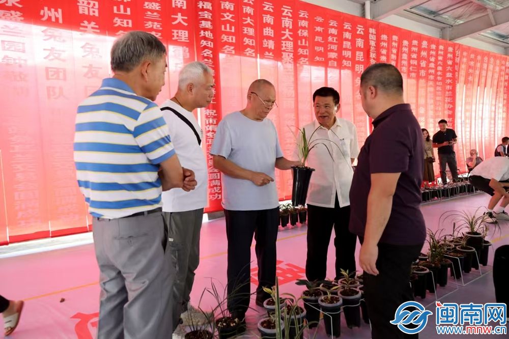 南靖第二届兔耳兰交易会成交额突破400万元