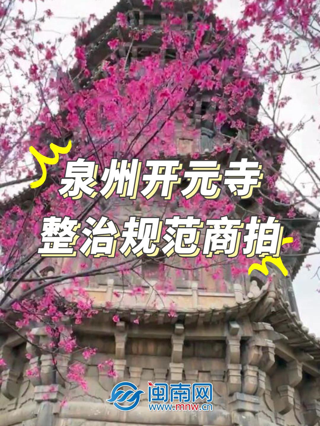 泉州开元寺整治规范商拍