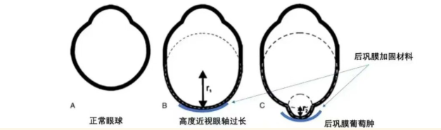e184f517-a3a1-44d5-b8cb-3e258836add5