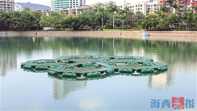 厦门：松柏公园新添绿色“小岛”