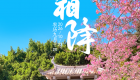 遇见闽南 节气之美丨霜降
