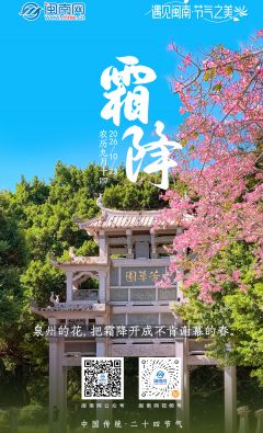 二十四节气 | 霜降：泉州的花，把霜降开成不肯谢幕的春