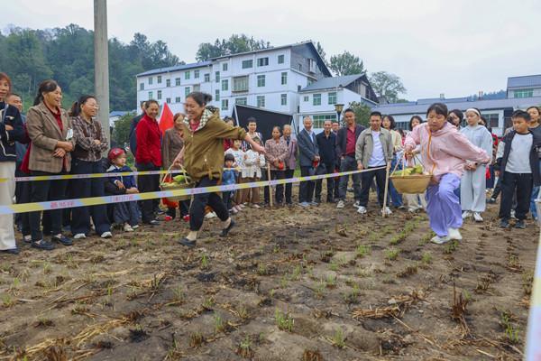 三明建宁伊家乡丰收节主题活动暨“伊家味道”品牌发布会热闹启幕