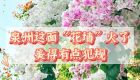 泉州这面“花墙”火了，美得有点犯规