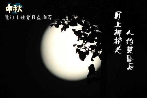月上柳梢头,人约黄昏后2