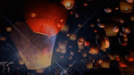 440_247gif 动态图 动图