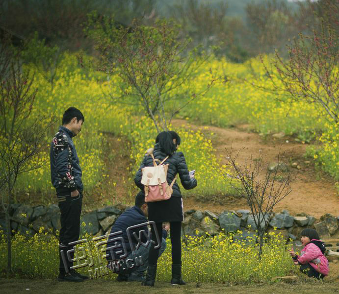 满园春色关不住踏青赏春好时节